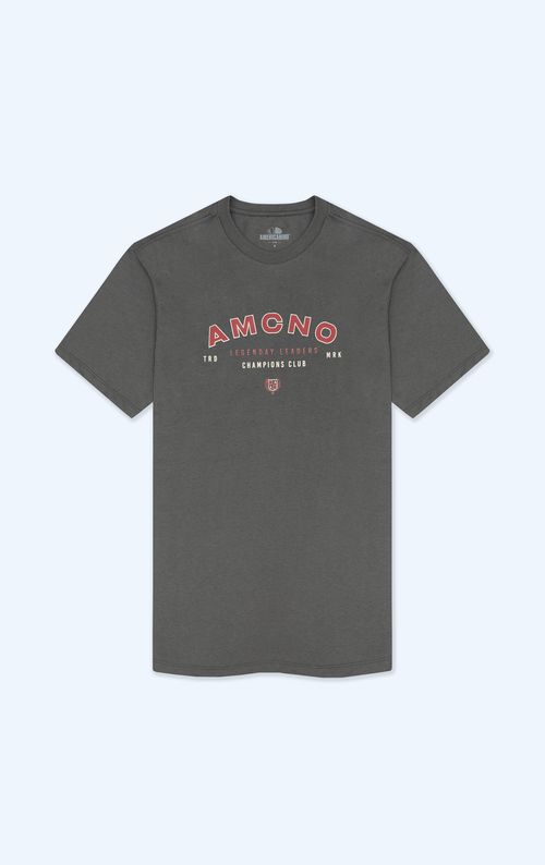 Camiseta en 100% algodón para hombre